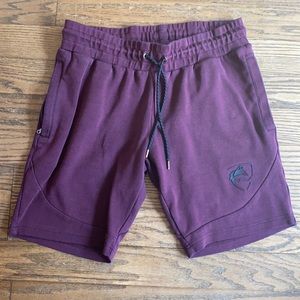 Alphalete V3 shorts - wine